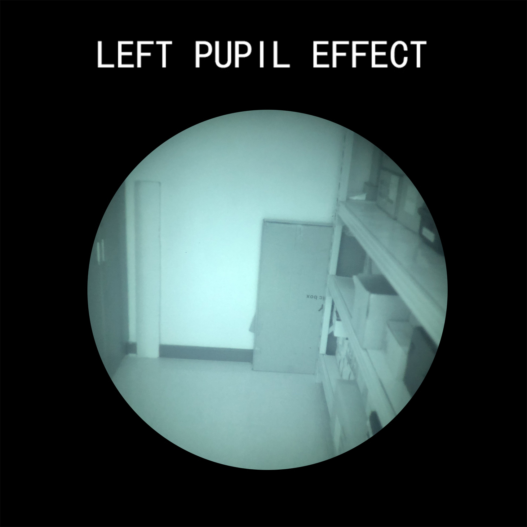 Real MX10160 Gen 2 FOM1400 White Phosphor PVS-31 Night Vision Goggles-LinduNV Store