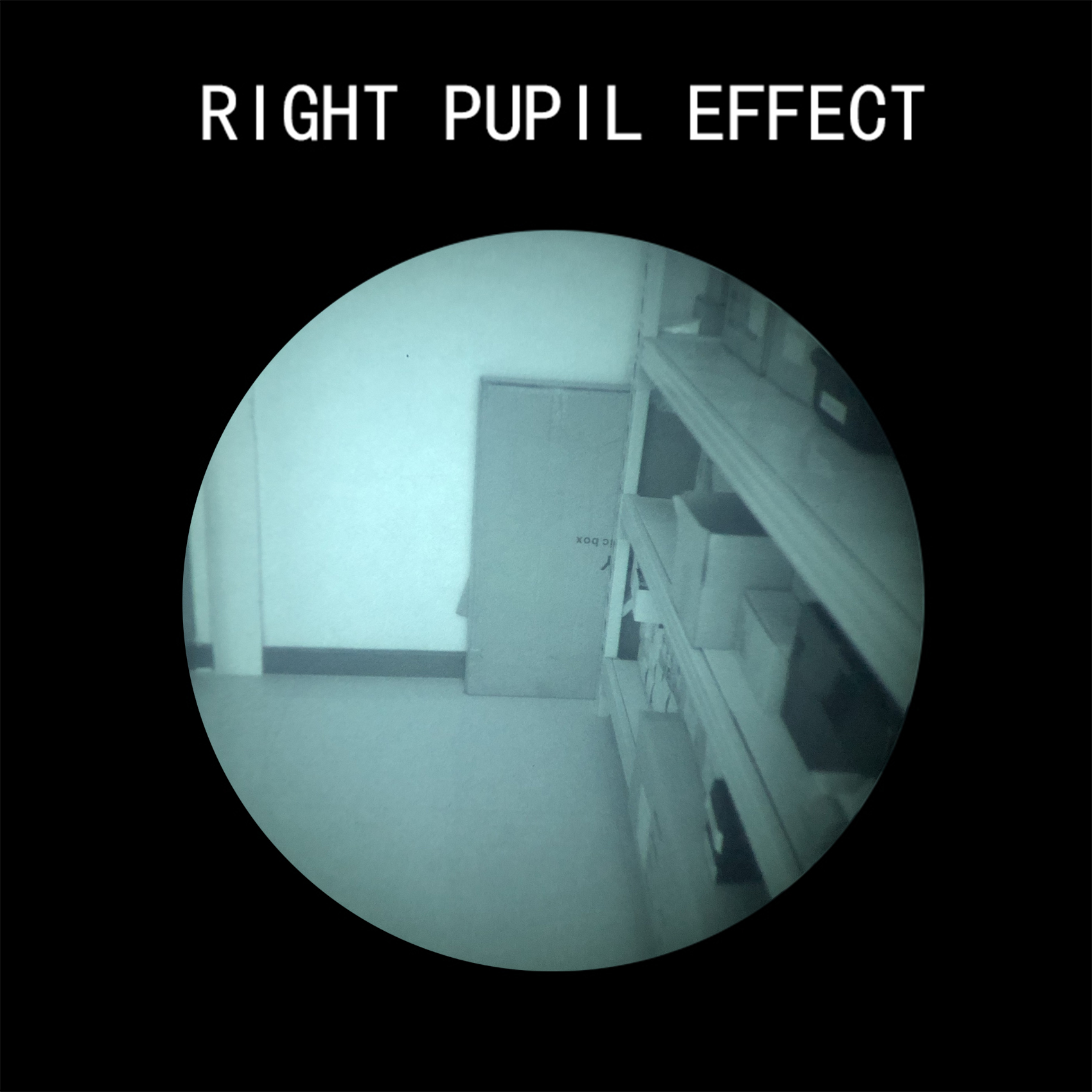 Real MX10160 Gen 2 FOM1400 White Phosphor PVS-31 Night Vision Goggles-LinduNV Store