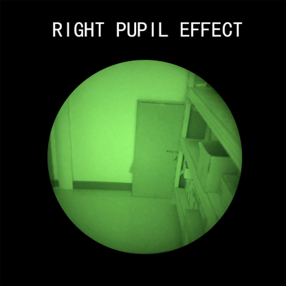 Weekly Deal Gen2 Green Phosphor FOM1400 PVS31 Night Vision Goggles-LinduNV Store