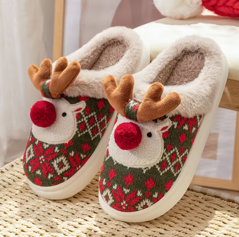 Winter Slippers