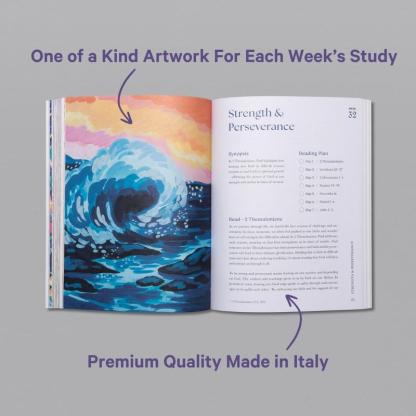 A Beautiful Year in the Bible: The 52-Week Bible Study in a Year for Women