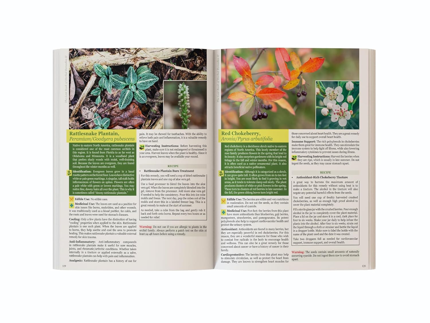 The Lost Book of Herbal Remedies 2