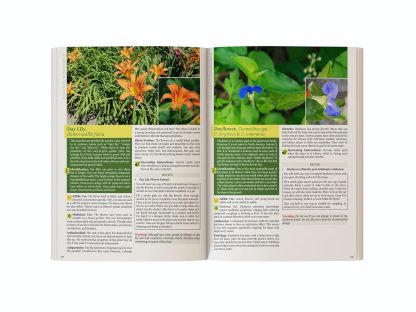 The Lost Book of Herbal Remedies 2