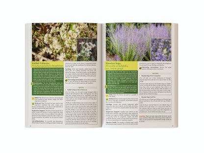 The Lost Book of Herbal Remedies 2