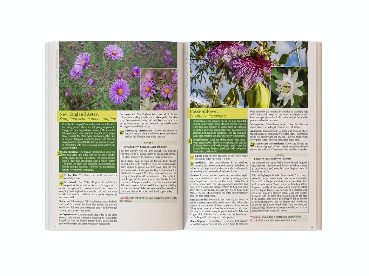 The Lost Book of Herbal Remedies 2