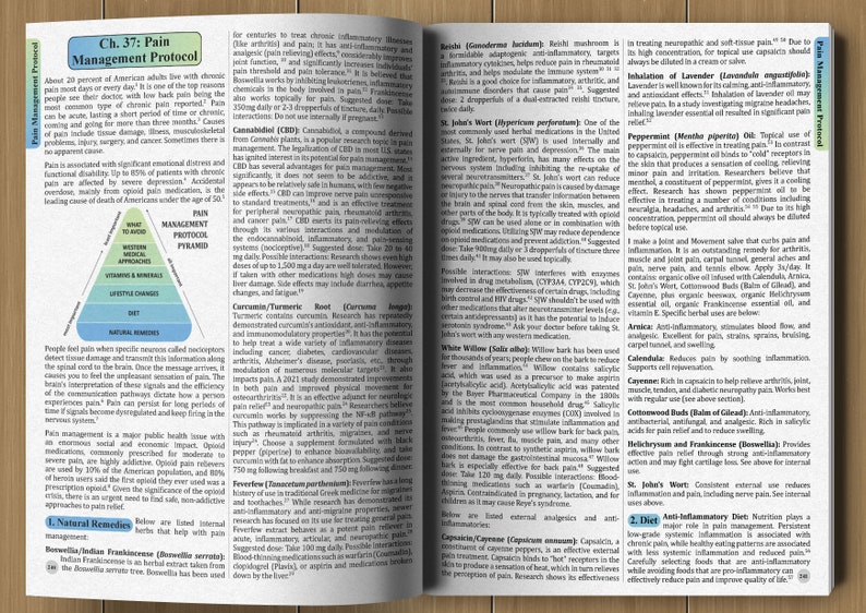 The Holistic Guide to Wellness: Herbal Protocols for Common Ailments