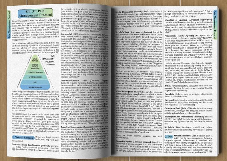 The Holistic Guide to Wellness: Herbal Protocols for Common Ailments