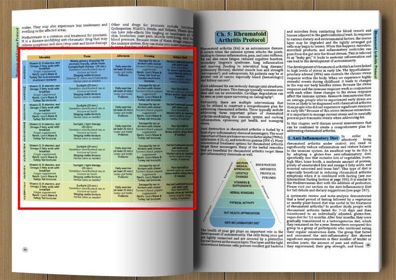 The Holistic Guide to Wellness: Herbal Protocols for Common Ailments