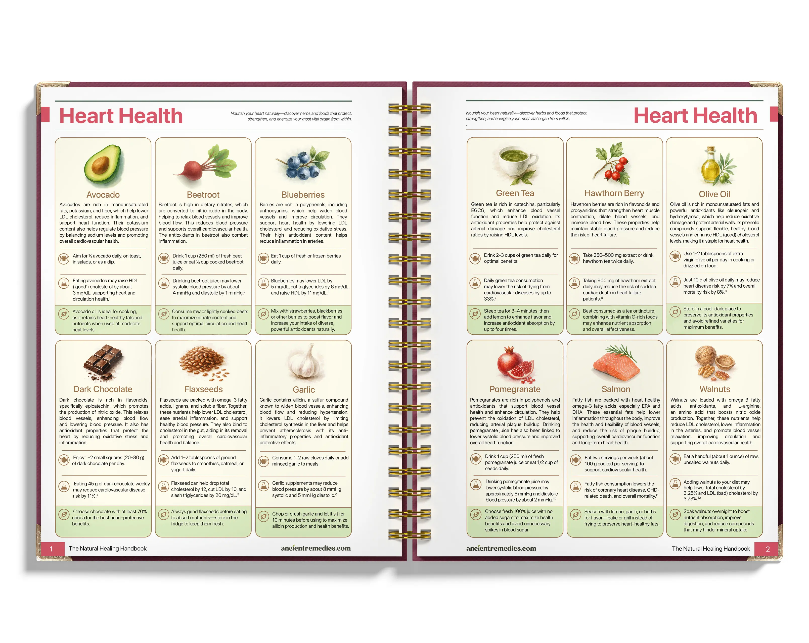 The Natural Healing Handbook - Simple Recipes & Remedies for Every Condition