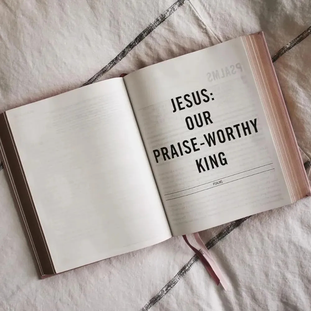 The Jesus Bible, NIV Edition（🔥Contains Tags）