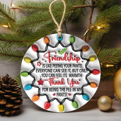 🎁🎁Friendship Like Peeing Your Pants Ornament