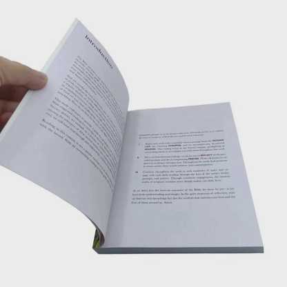 A Beautiful Year in the Bible: The 52-Week Bible Study in a Year for Women