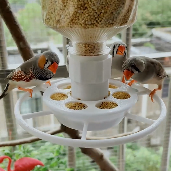 Fun bottle top bird feeder 🐦Create a bird playground in your garden