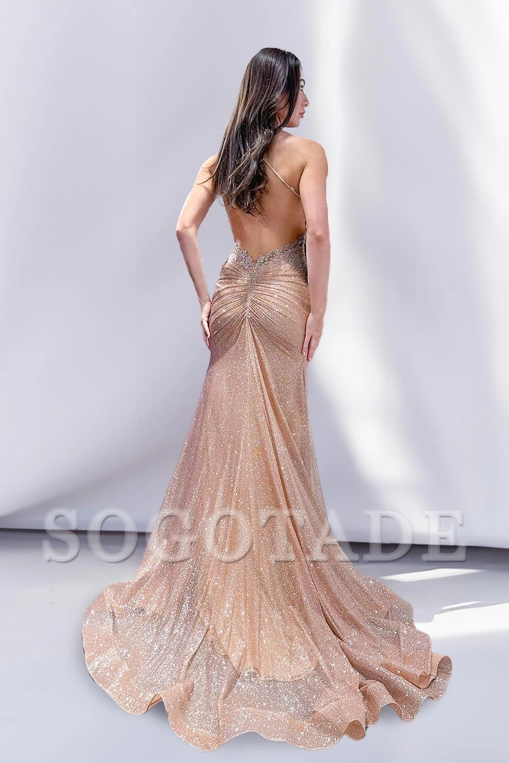 Embroidered applique long sleeveless metal sequin dress