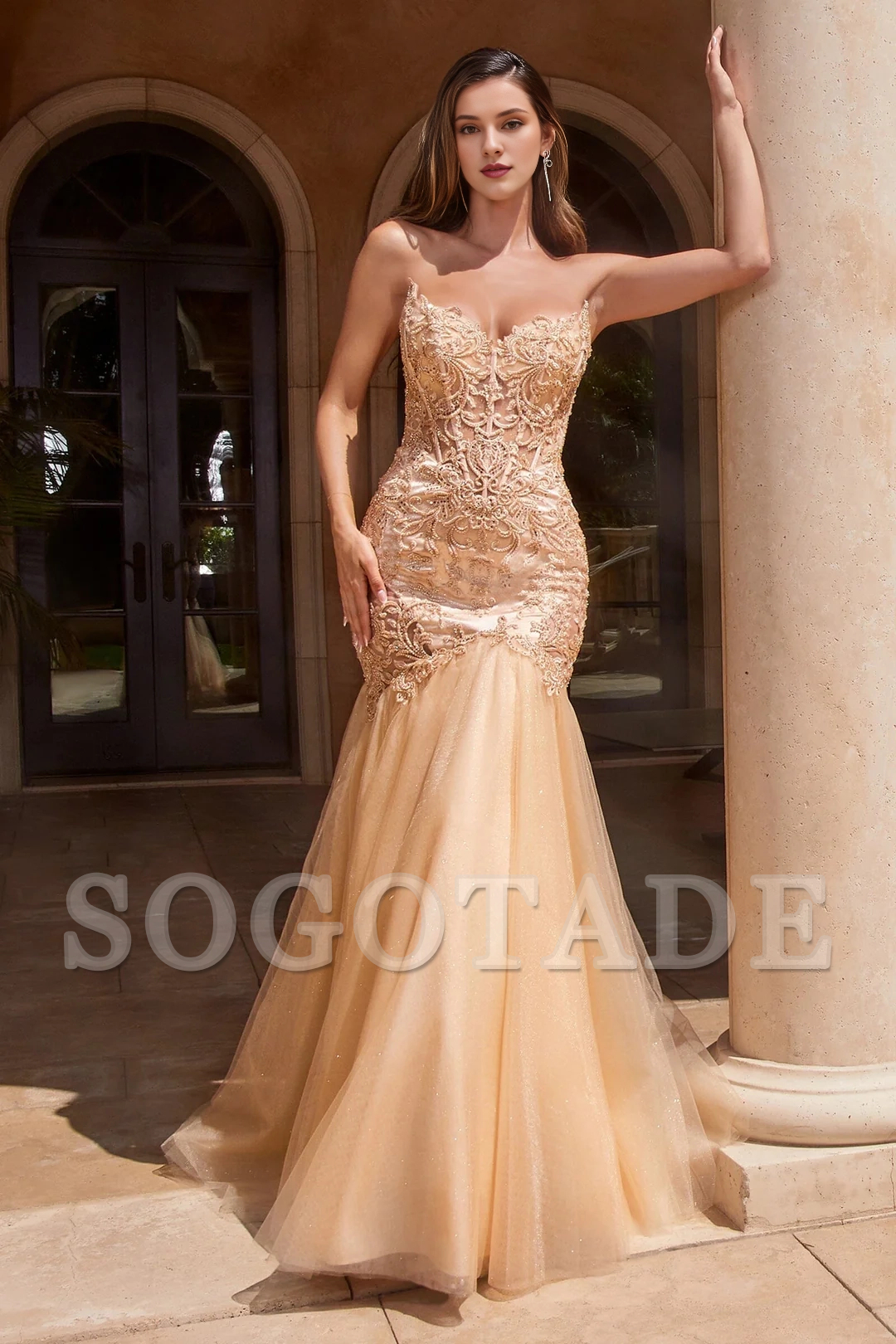 Lace applique long strapless chiffon dress