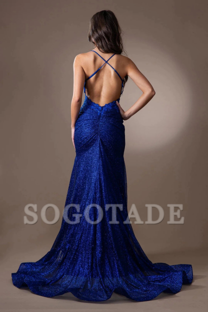 Embroidered applique long sleeveless metal sequin dress