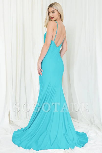 Fitted skirt long sleeveless V-neck dress