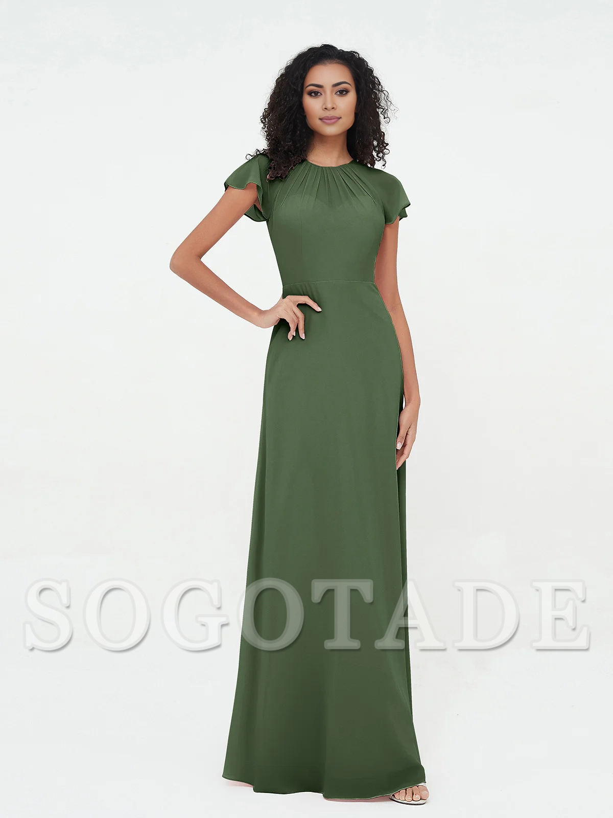 Illusionary collar and sleeve chiffon dress