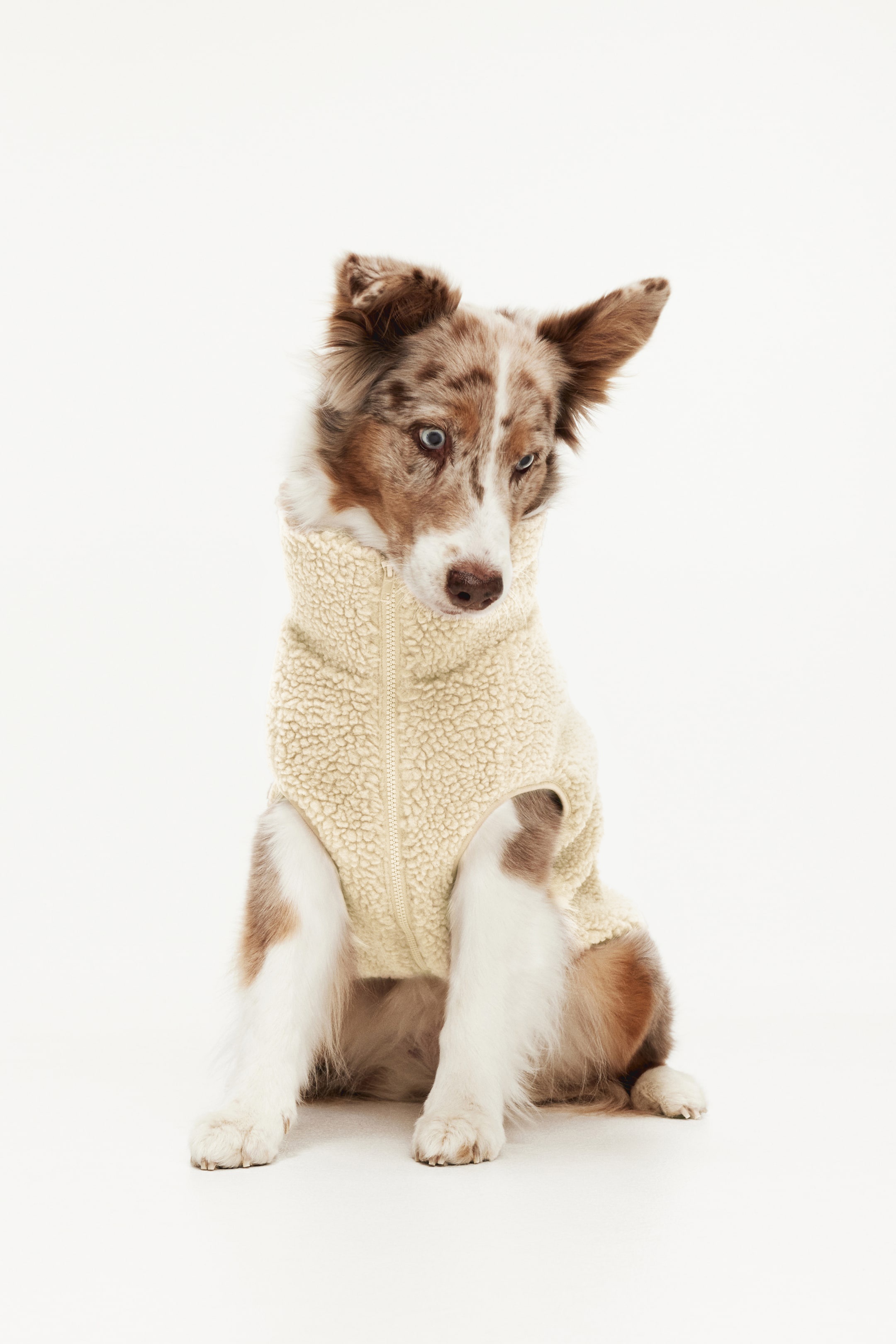 Teddy Fleece Dog Jacket (Buy 2 Free Shipping)