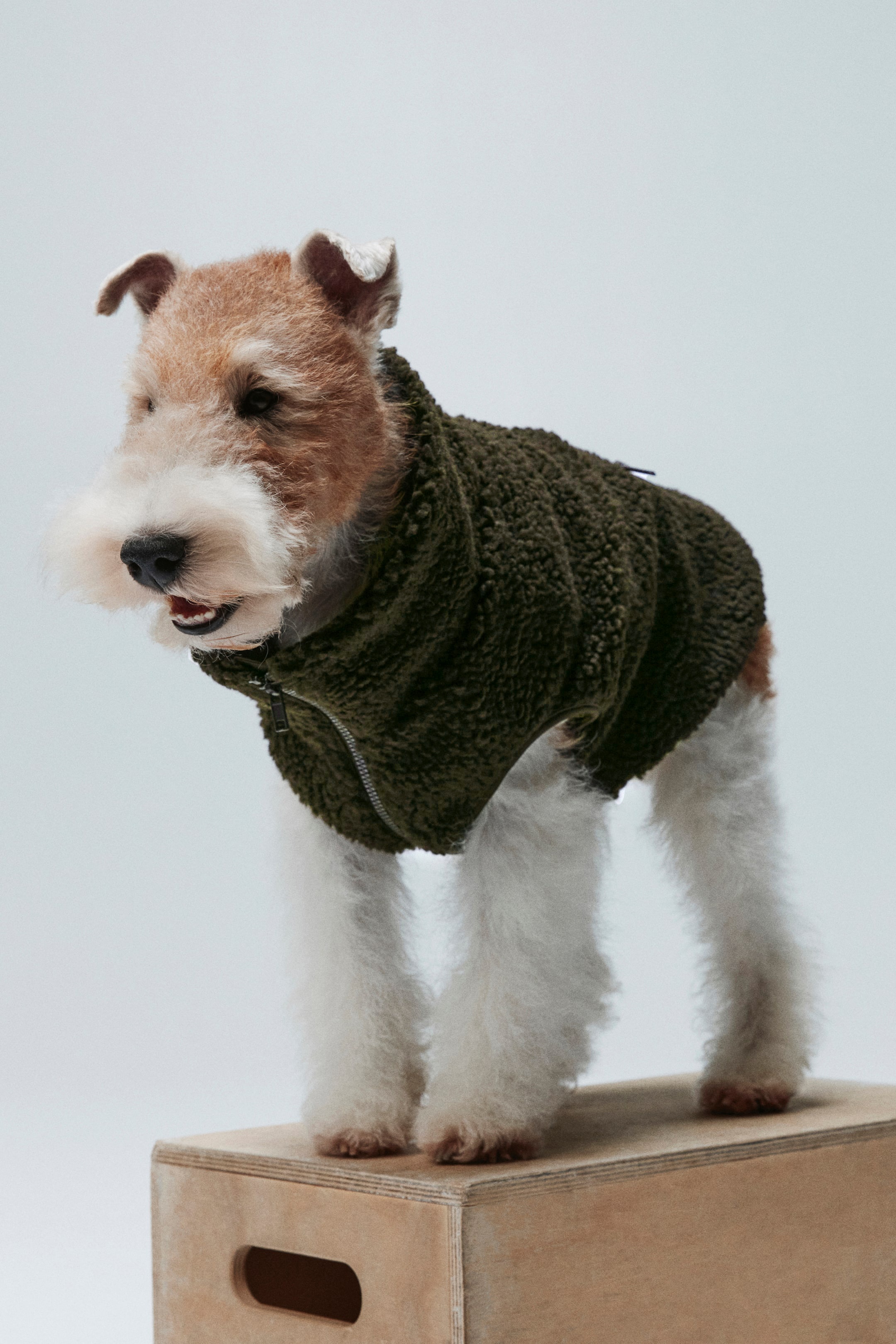 Teddy Fleece Dog Jacket (Buy 2 Free Shipping)