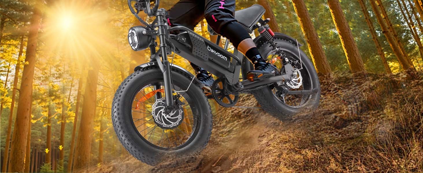 Electric Bike for Adults, Up to 80/110KM Range & 45KM/H Speed, 2000W Peak Motor 7 Speed Gearing with All-Terrain 4.0" Fat Tires E Bike, Electric Dirt Bike, Full Suspension City Bicycles for Outdoor