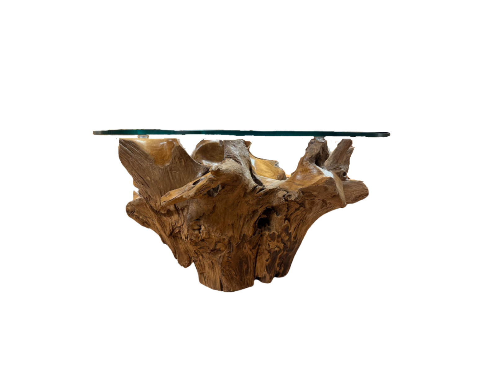 Vale Root Coffee Table 