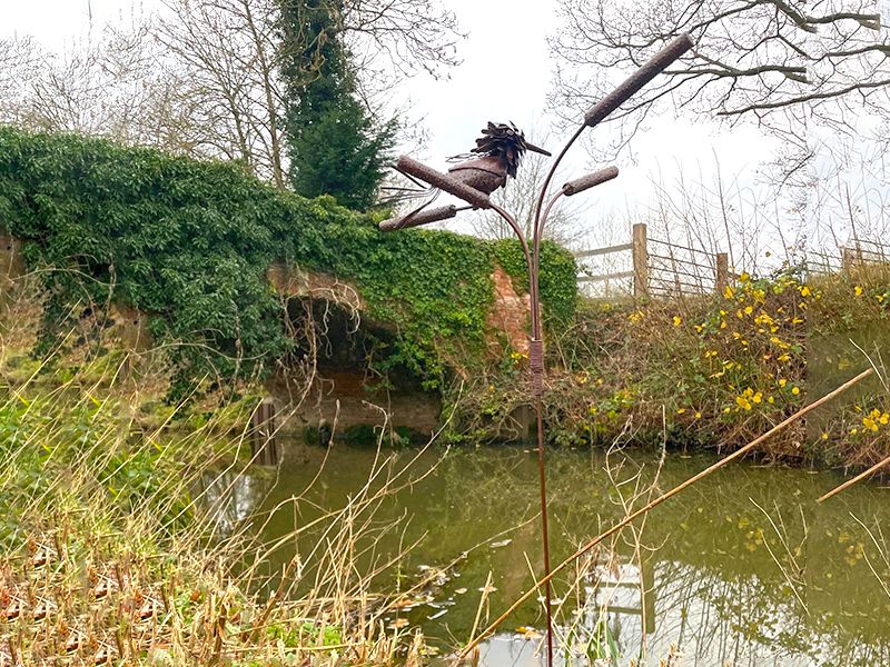 King Fisher With Reeds 