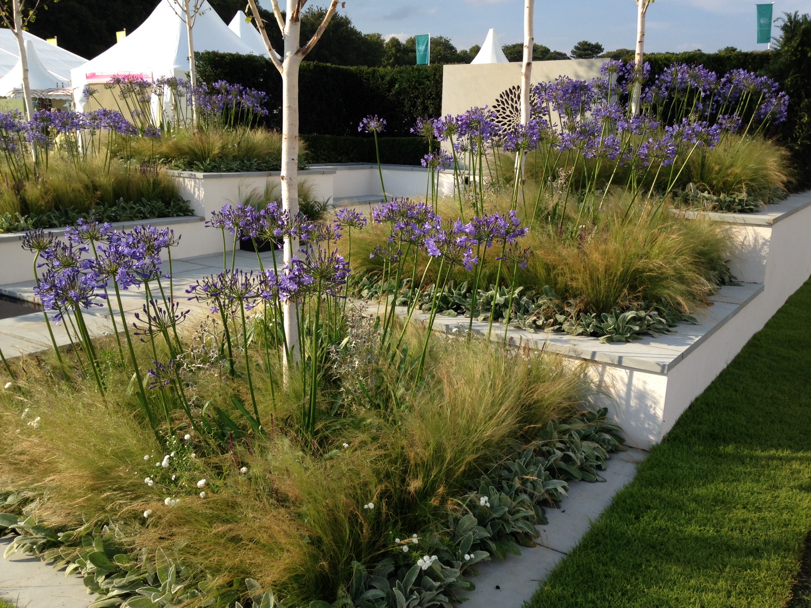 100 years on Garden