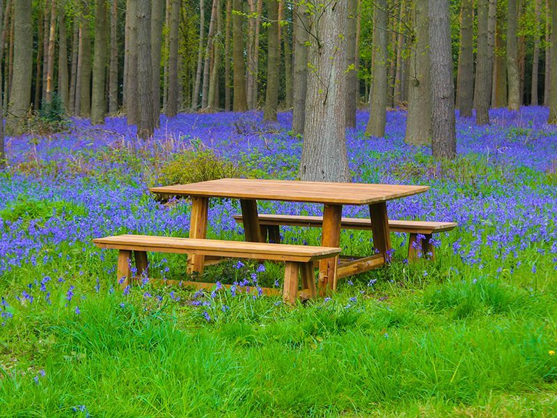 Sigar Bench Set 2m | October Offers -Garden Furniture Centre-HighRange,Teak,Tables,Dining Set,Teak Garden Furniture,Outdoor Dining,Teak Benches Benches-{collection_title}