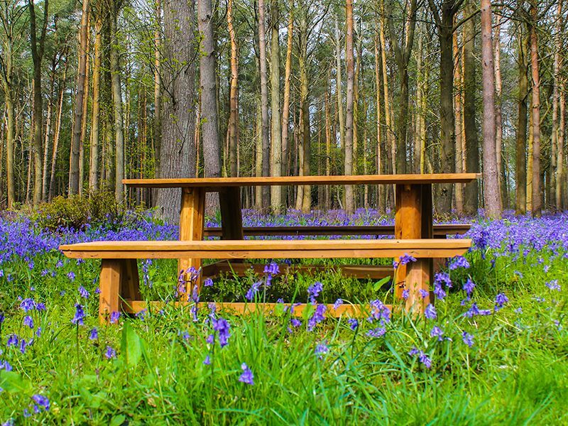 Sigar Bench Set 2m | October Offers -Garden Furniture Centre-HighRange,Teak,Tables,Dining Set,Teak Garden Furniture,Outdoor Dining,Teak Benches Benches-{collection_title}