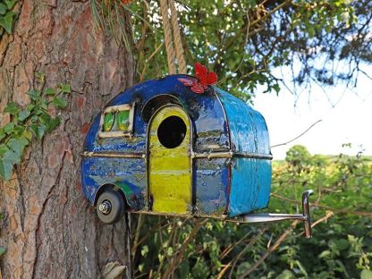 Bird Holiday