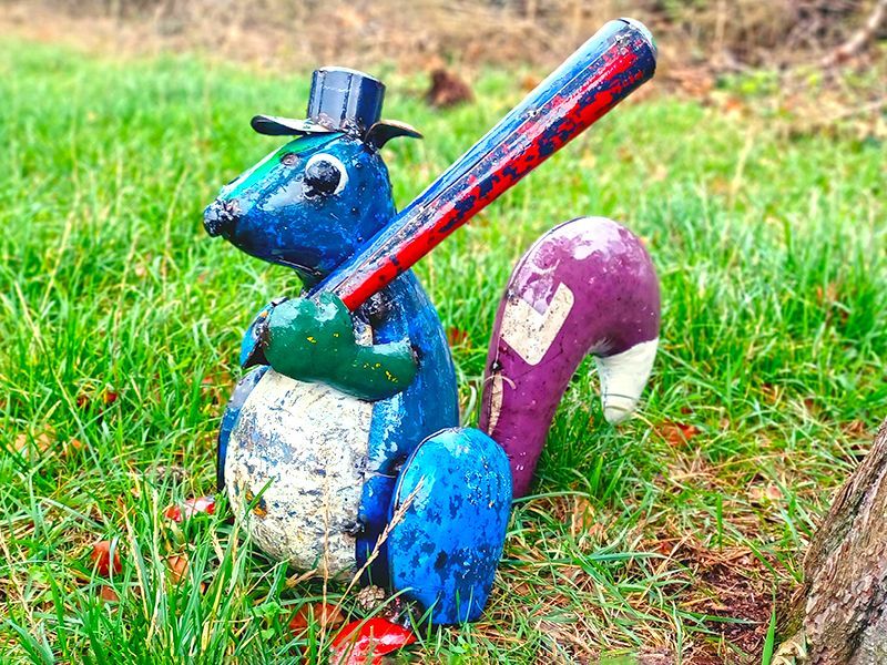 Stan The Baseball Squirrel