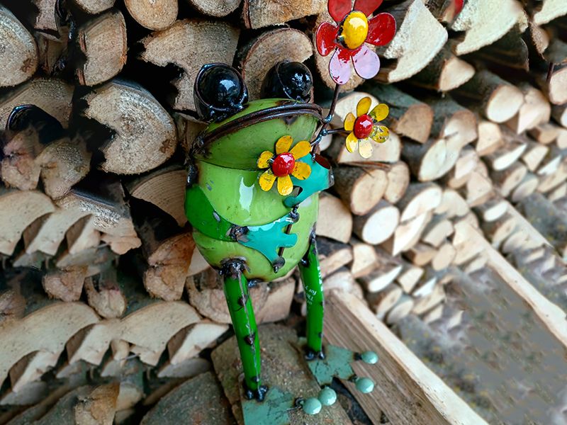 Standing Frog With Flower