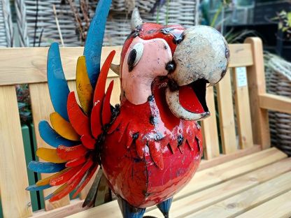Polly The Parrot Beverage Tub