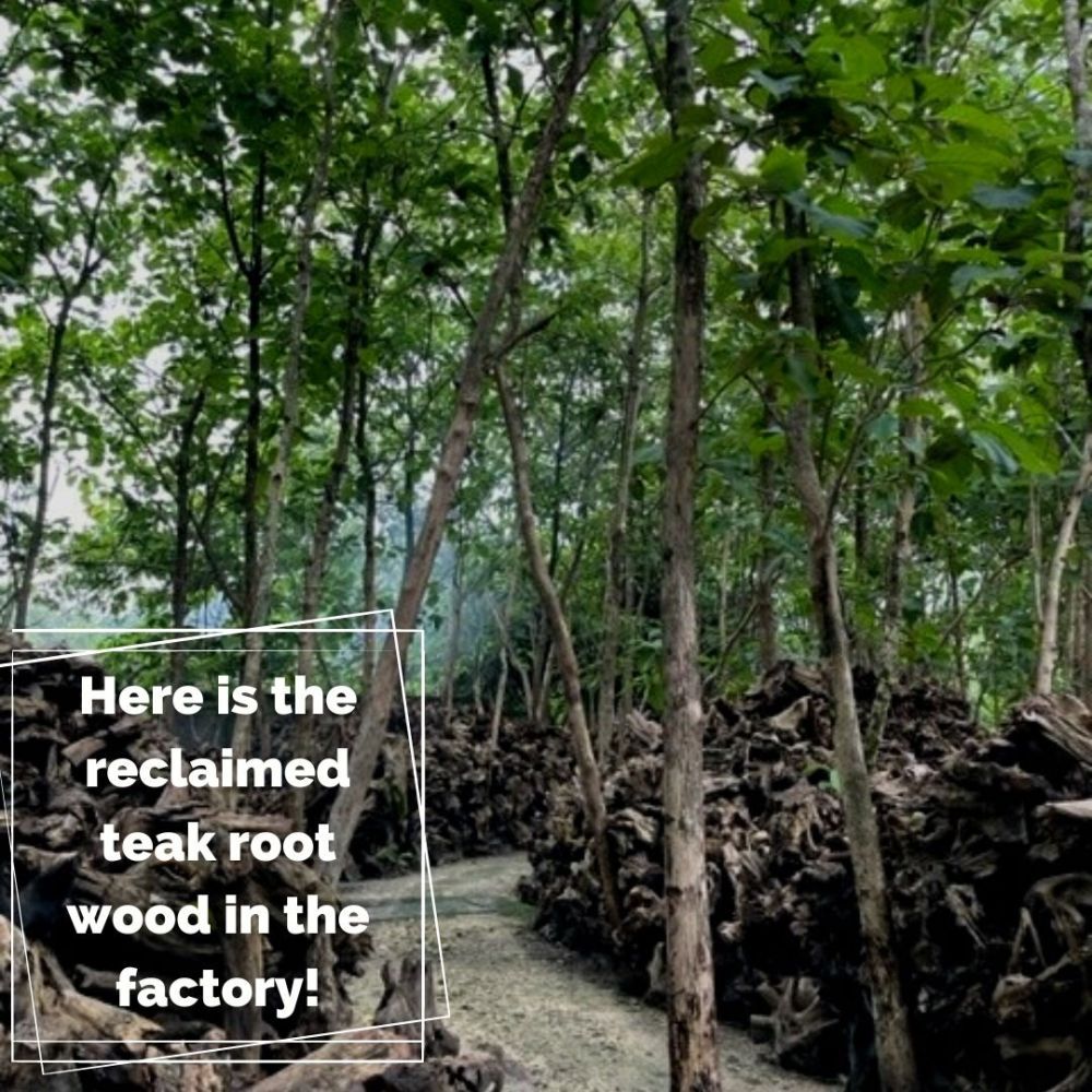 Bluma Floor Lamp 4 Shades -Garden Furniture Centre-Root,MidInstock,instock,MidRange,Accessories,Reclaimed Furniture,Indoor Lighting,Teak,Conservatory,Lights-{collection_title}