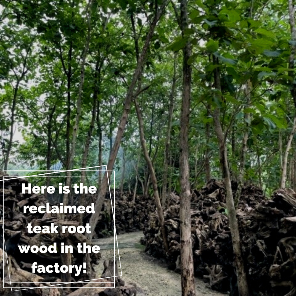 Reclaimed Teak Root ACE Table -Garden Furniture Centre-Root,MidInstock,instock,MidRange,Indoor Dining,Coffee Table,Outdoor Furniture,Conservatory,Reclaimed Furniture,Indoor Accessories,Indoor Dining Conservatory-{collection_title}