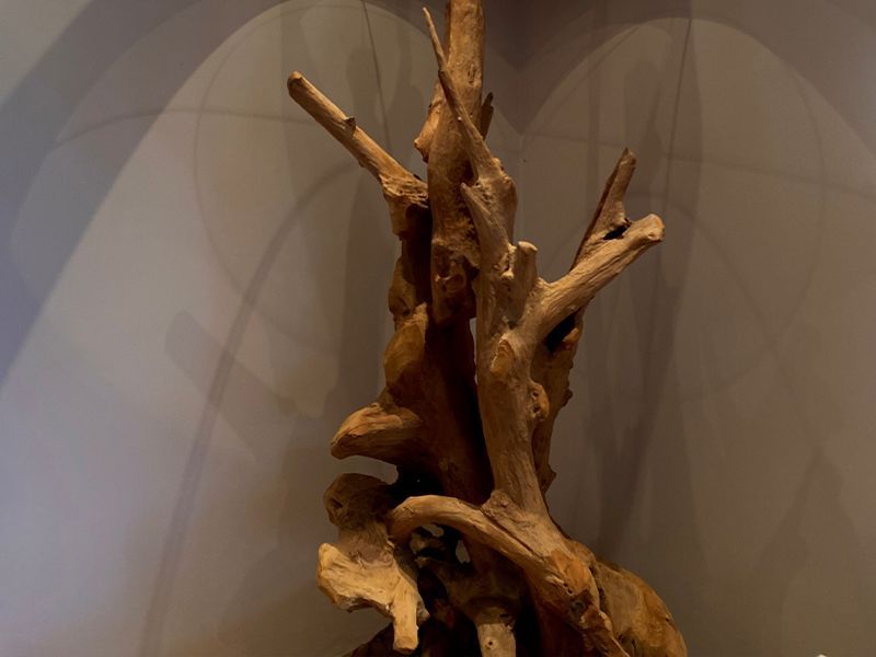 Rustic Root Floor Lamp-Garden Furniture Centre-Root,MidRange,Accessories,Conservatory,Reclaimed Furniture,Indoor Accessories,Indoor Lighting,Teak,Lights-{collection_title}