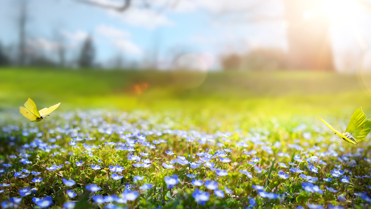 Our 10 ways to make the most of spring at GFC