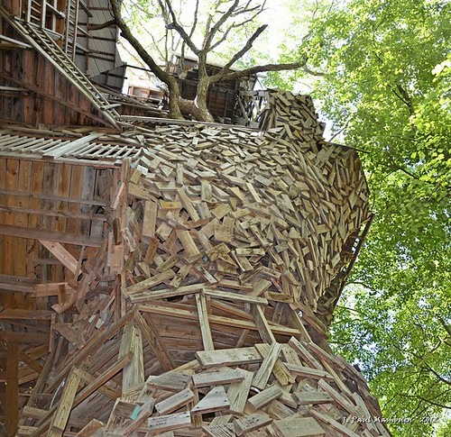 The Tree House