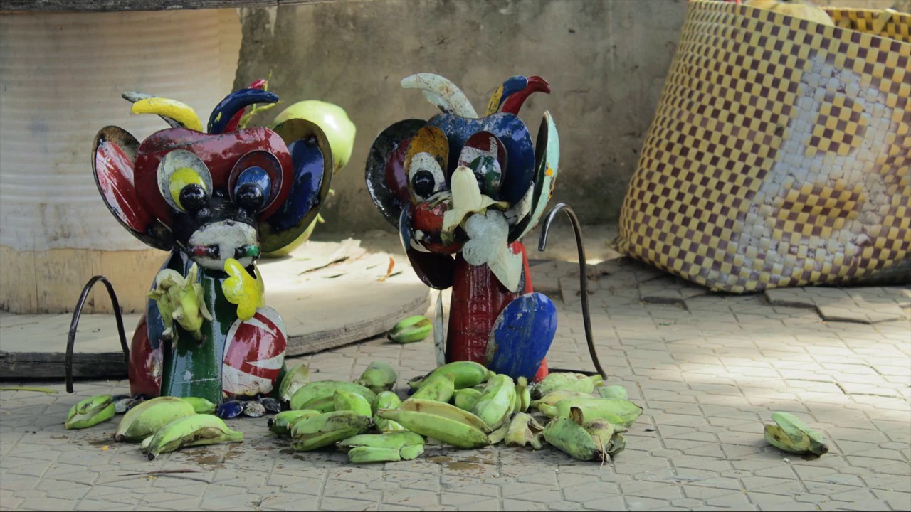 Coconut the Cheeky Monkey