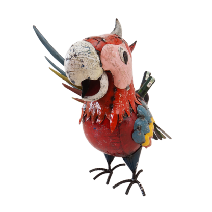 Polly The Parrot Beverage Tub