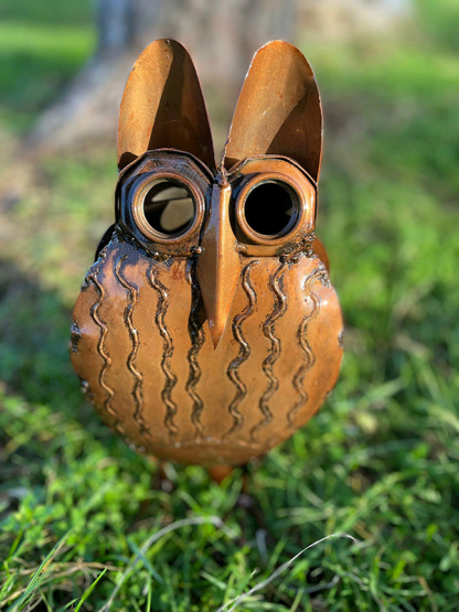 Think Outside Owls