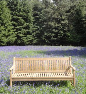 Westminster Bench 1.8m 
