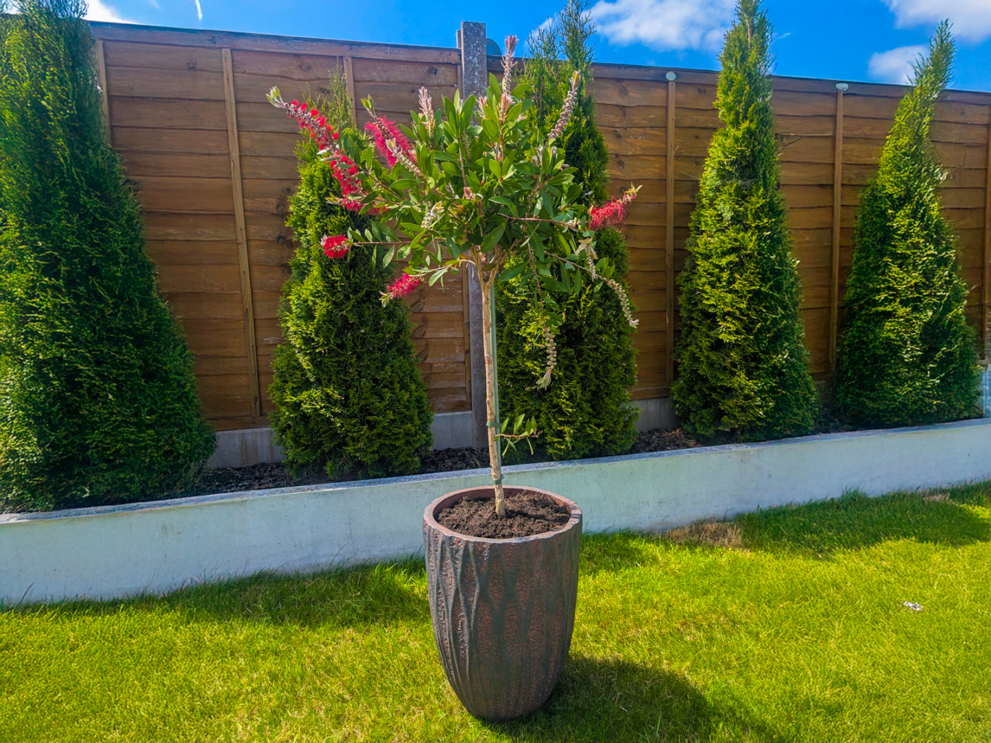 Lyon Decorative Plant Pot-Garden Furniture Centre-LowRange,Under 100,Showroom exdis,Garden Planters,Garden Plants,Mother's Day-{collection_title}