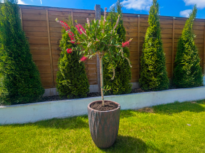 Lyon Decorative Plant Pot-Garden Furniture Centre-LowRange,Under 100,Showroom exdis,Garden Planters,Garden Plants,Mother's Day-{collection_title}