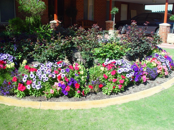 Modern Garden