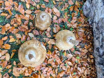 Pear Wooden Ornament 