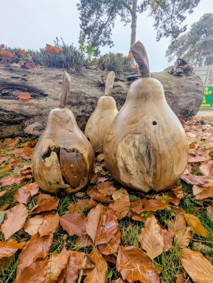 Pear Wooden Ornament 