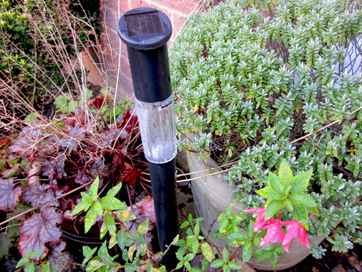 Solar-lights