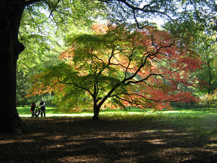 Westonbirt Westonbirt